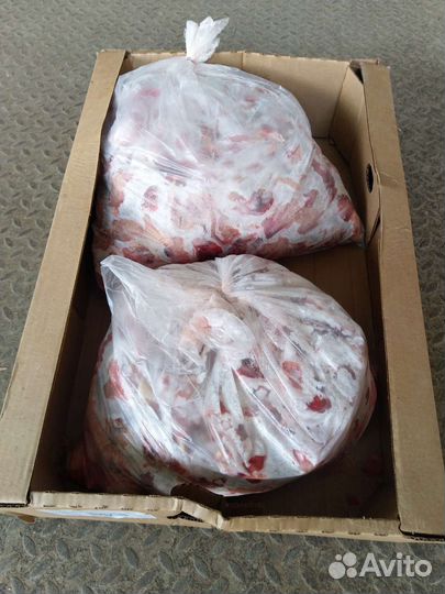 Цыплята суточные,головы куриные цб,желудки неочищ