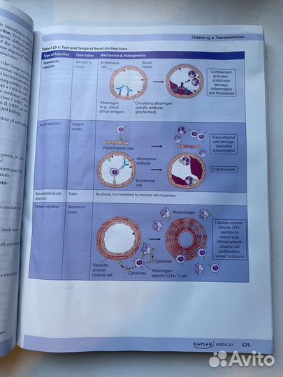 Usmle step 1 immunology microbiology