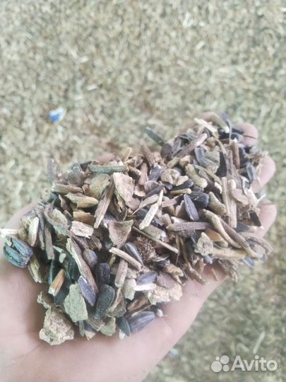 Отходы семечки