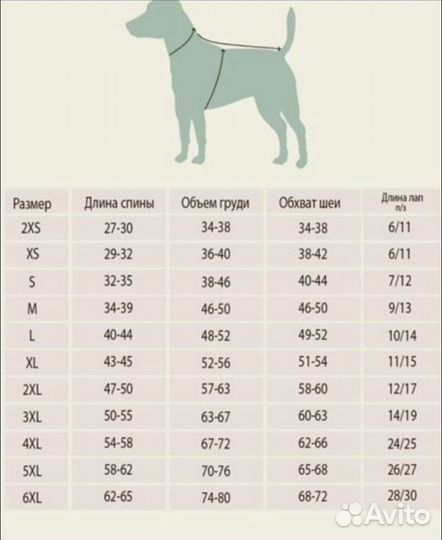 Комбинезон для собак lucky dog