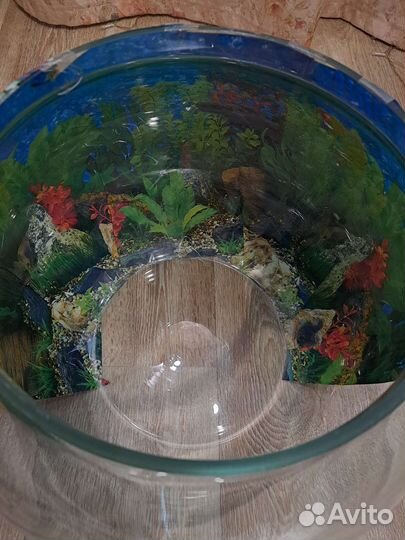 Аквариум