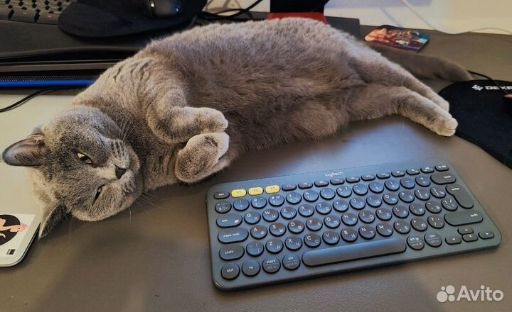 Работа оператором из дома от 4 ч.Продавать не надо