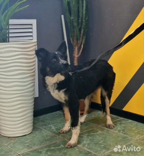 Отдадим малышку в заботливые руки