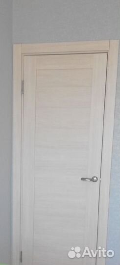 Двери входная и межкомнатные
