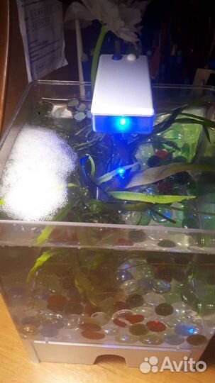 Аквариум