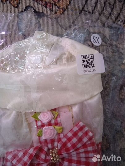 Вещи для маленькой собачки