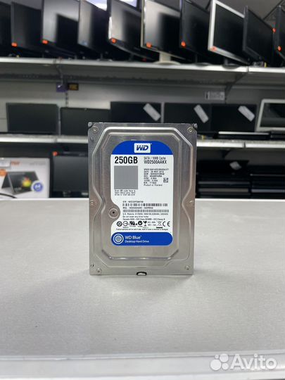 WD Caviar Blue, 250Gb, HDD, SATA III, 3.5