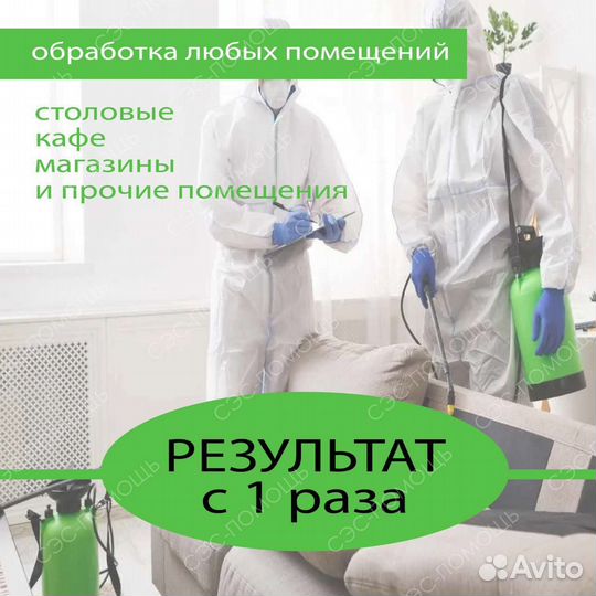 Уничтожение клопов тараканов мышей клещей блох