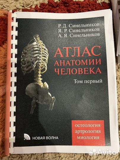 Атлас анатомии человека Синельникова 1 том