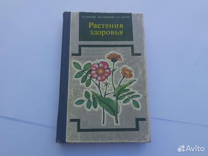 Растения здоровья, Крылов, Казакова, лагерь