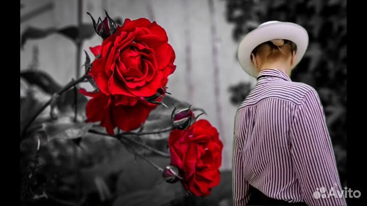 Обработка фотографий, ретушь