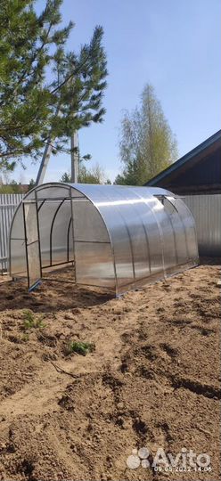 Теплица росток