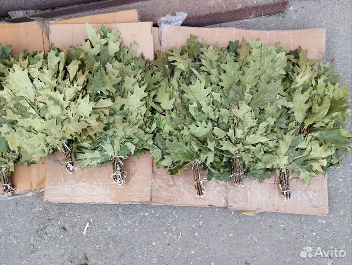 Веник банный, веник для бани канадский дуб