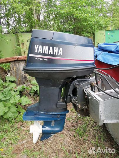 Катер с мотором