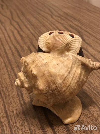Сувенир из морской ракушки