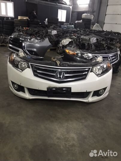 Ноускат Honda Accord 8