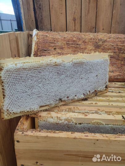 Мед в сотах в рамках