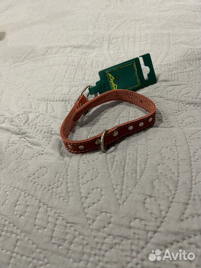 Кожаный ошейник для собак мелких пород