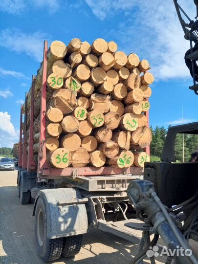 Лес кругляк пиловочник сосна