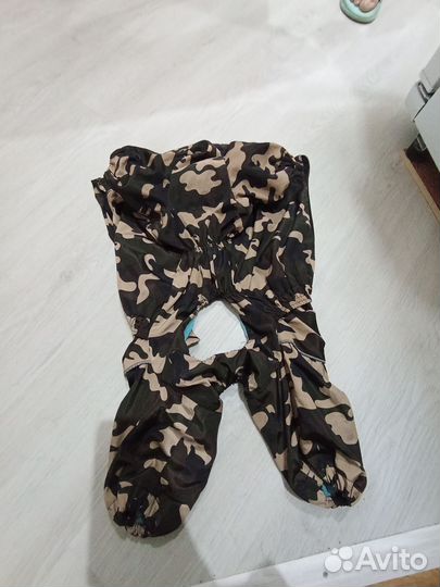 Теплый костюм для кобелей