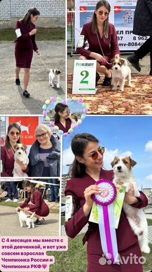 Услуги хендлера