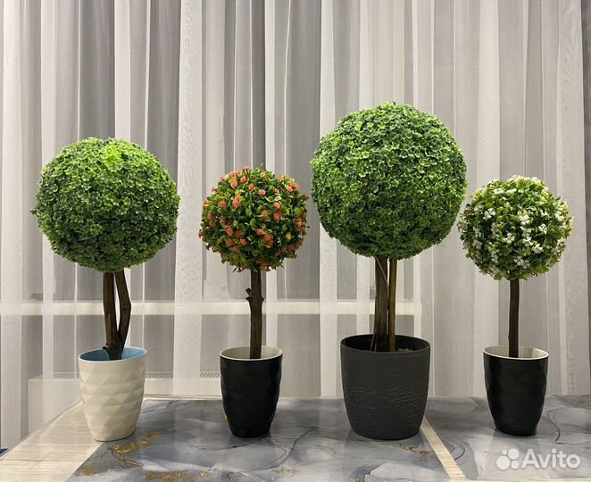 Искусственный самшит