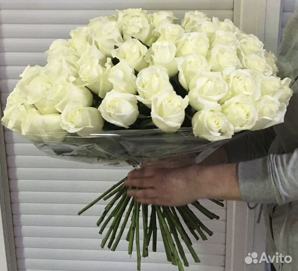 Подарок Крупная эквадорская роза 50 см, цветы