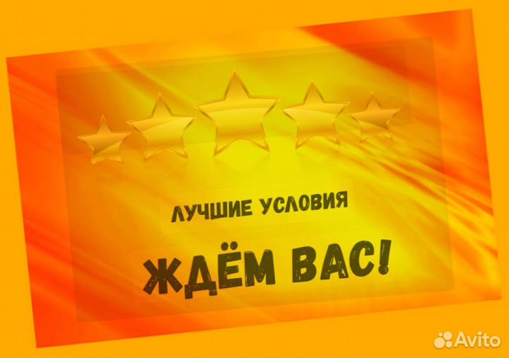 Продавец-кассир Гарантии выплат Бесплатная форма