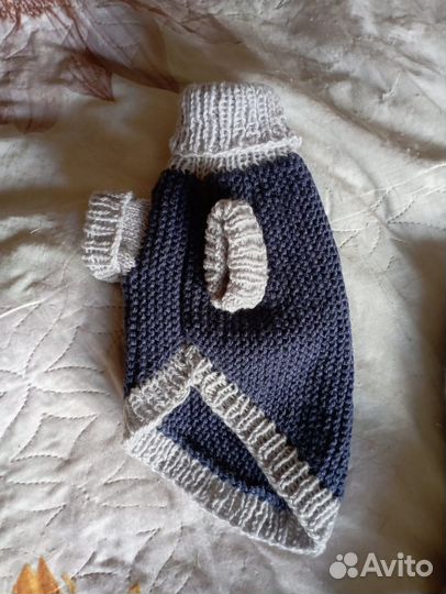 Одежда для животных