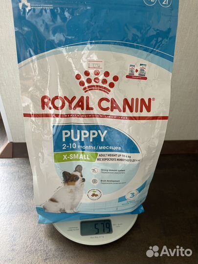 Сухой корм для щенков