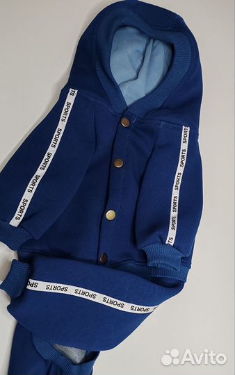 Одежда для собак, костюм спортивный