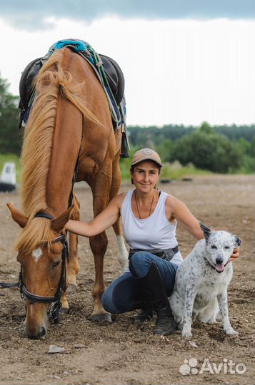 Репортажный/портретный фотограф