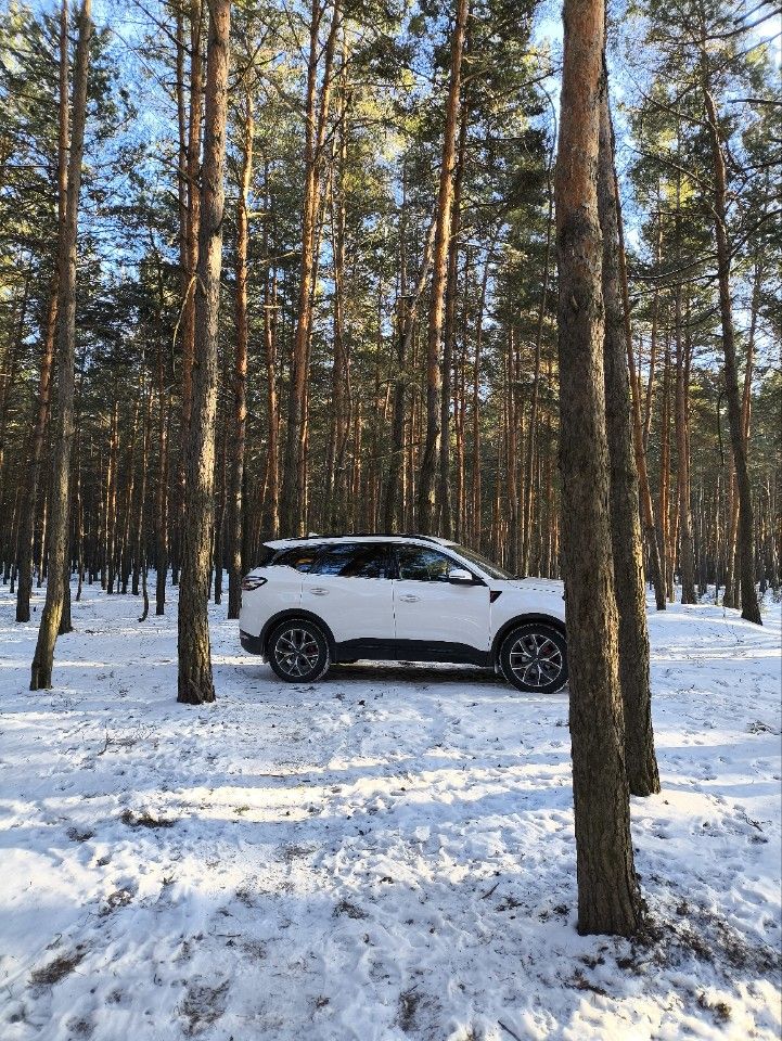 Chery Tiggo 7 Pro Max: фото владельца