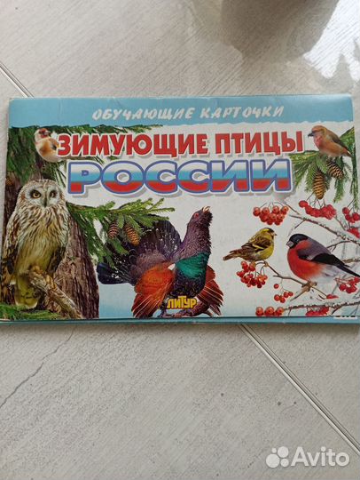 Обучающие карточки для детей