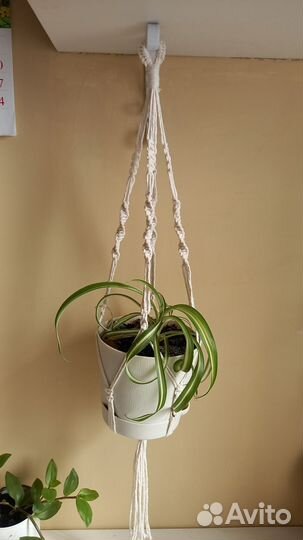 Подвес для кашпо в технике макраме
