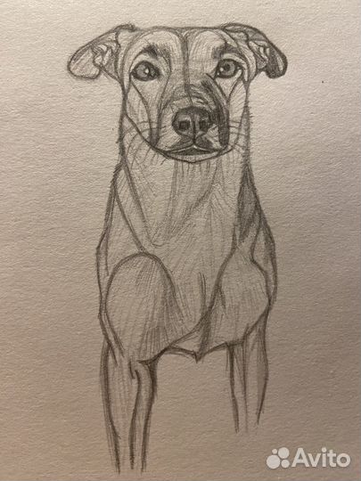 Рисунок питомца за час