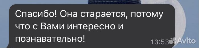 Репетитор по английскому языку