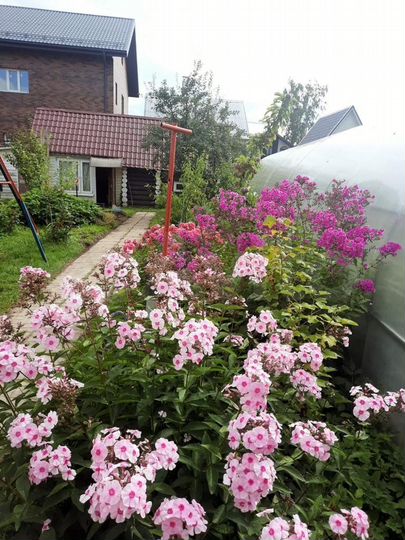 Дом 50 м² на участке 4 сот.