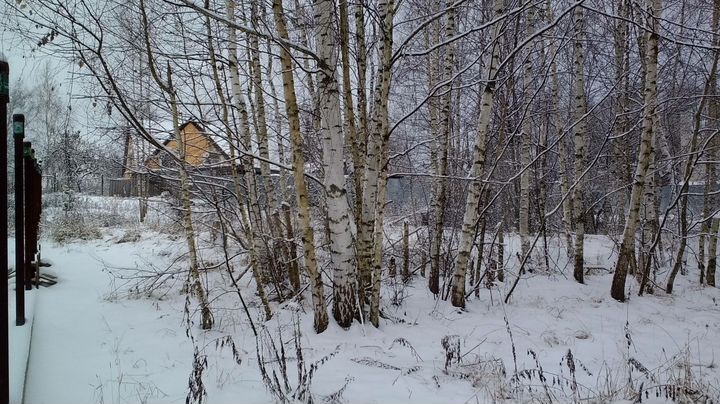 Участок 10 сот. (ИЖС)