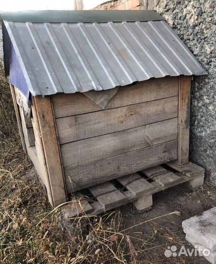 Собачья конура, будка