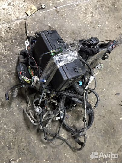 Блок предохранителей Ford Focus 2