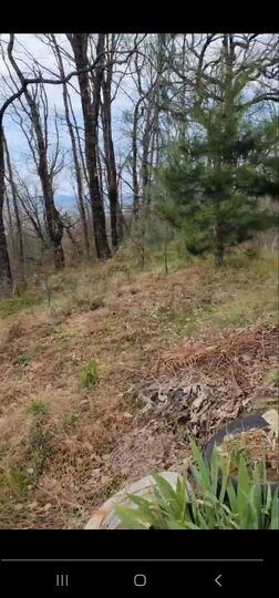 Участок 6 сот. (СНТ, ДНП)