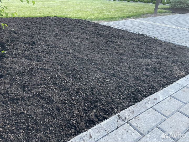 Ч Е Р Н О З Ё М