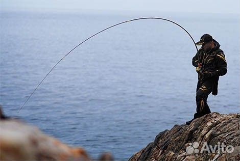 Daiwa monster force AGS Onaga 53