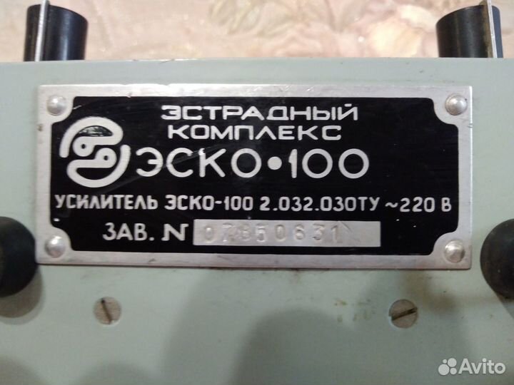 Усилитель моно Эско-100 (2-шт.)