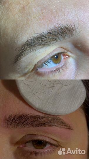 Мастер бровист