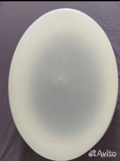 Кошачий лоток Италия