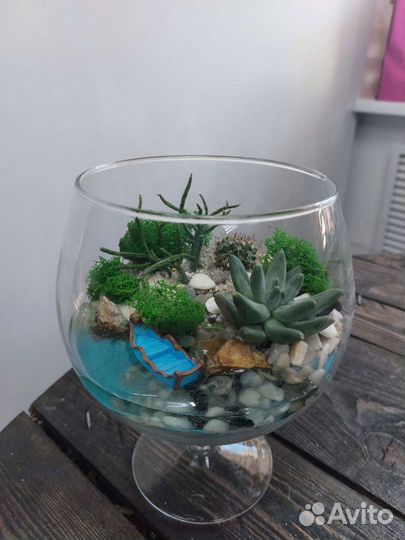 Флорариум суккуленты, кактусы. Подарок