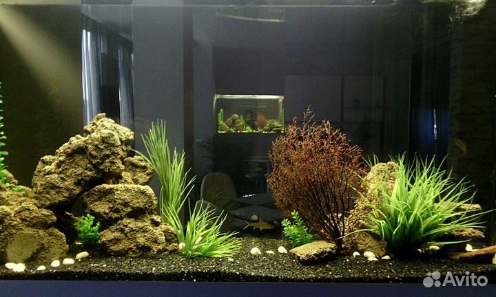 Чистка аквариума. Аквариумист