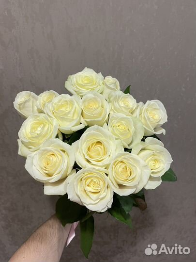 Букет 15 роз. Розы Голландия Цветы доставка